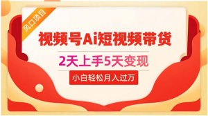 （10807期）2天上手5天变现视频号Ai短视频带货0粉丝0基础小白轻松月入过万-网创电课网