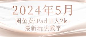 （10459期）2024年5月闲鱼卖ipad日入2k，最新玩法教学-网创电课网