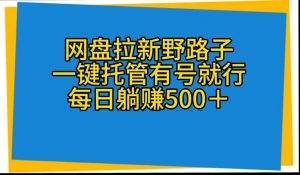 （10468期）网盘拉新野路子，一键托管有号就行，全自动代发视频，每日躺赚500＋-网创电课网