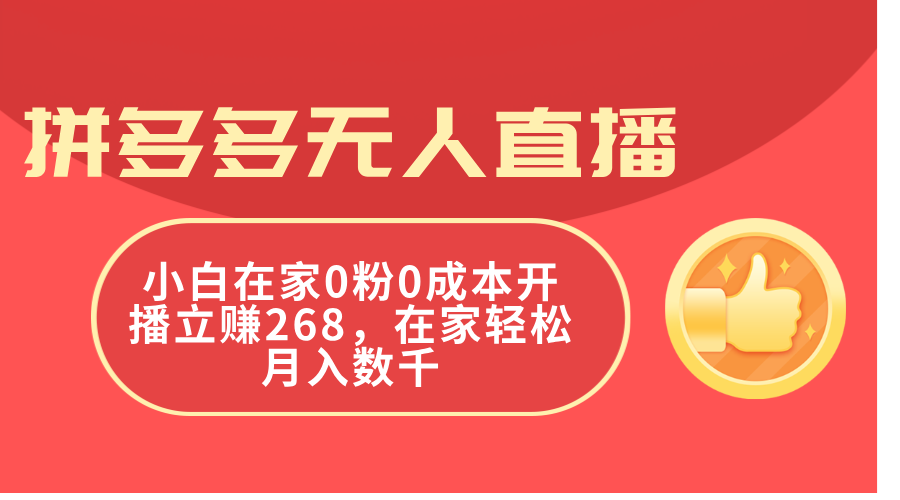 （11521期）拼多多无人直播，小白在家0粉0成本开播立赚268，在家轻松月入数千-网创电课网