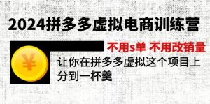 （11525期）2024拼多多虚拟电商训练营 不用s单 不用改销量  在拼多多虚拟上分到一杯羹-网创电课网