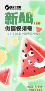 梅花实验室2024年AB技术视频号AB合成破解版-网创电课网