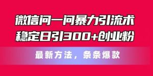 微信问一问暴力引流术，稳定日引300+创业粉，最新方法，条条爆款【揭秘】-网创电课网