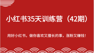 小红书35天训练营（42期）-用好小红书，做你喜欢又擅长的事，涨粉又赚钱！-网创电课网