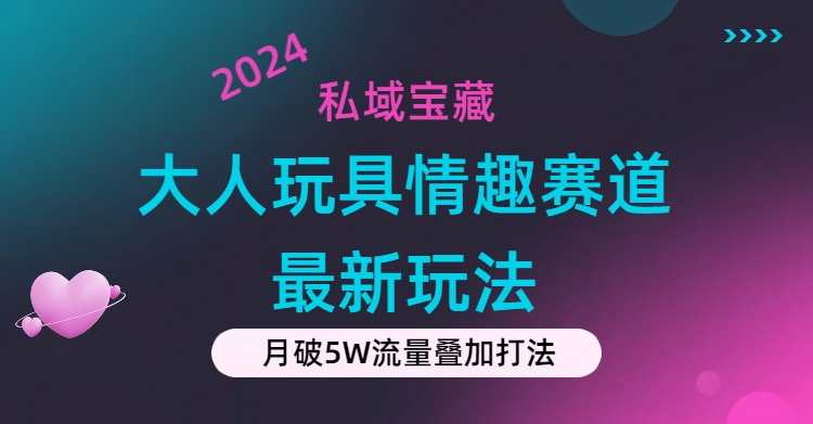 （11541期）私域宝藏：大人玩具情趣赛道合规新玩法，零投入，私域超高流量成单率高-网创电课网
