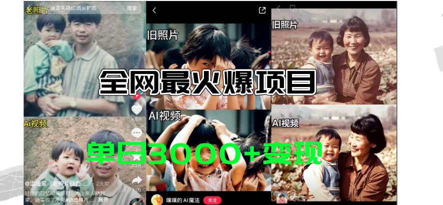(11546期)全网爆火的AI让老照片动起来教程,蹭热点日赚3000+,内含免费工具一键…-网创电课网