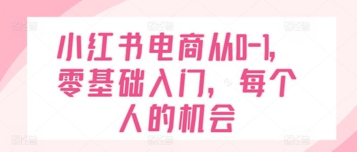 小红书电商从0-1，零基础入门，每个人的机会-网创电课网