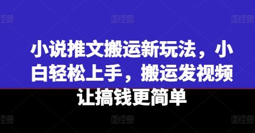 小说推文搬运新玩法，小白轻松上手，搬运发视频让搞钱更简单-网创电课网