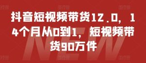 抖音短视频带货12.0，14个月从0到1，短视频带货90万件-网创电课网