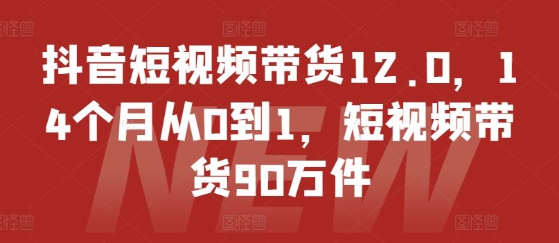 抖音短视频带货12.0，14个月从0到1，短视频带货90万件-网创电课网