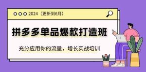 2024拼多多单品爆款打造班，充分应用你的流量，增长实战培训(更新6月)-网创电课网