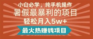 （11583期）小白必学，纯手机操作，暑假最暴利的项目轻松月入5w+最火热赚钱项目-网创电课网