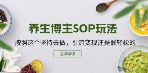 养生博主SOP玩法，按照这个坚持去做，引流变现还是很轻松的-网创电课网