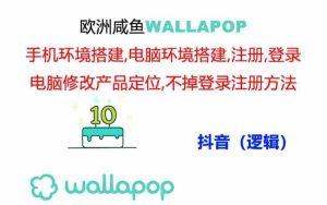 wallapop整套详细闭环流程：最稳定封号率低的一个操作账号的办法-网创电课网