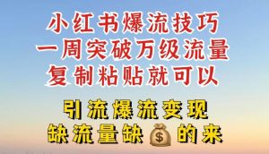 小红书爆流技巧，一周突破万级流量，复制粘贴就可以，引流爆流变现【揭秘】-网创电课网