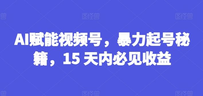 AI赋能视频号，暴力起号秘籍，15 天内必见收益【揭秘】-网创电课网