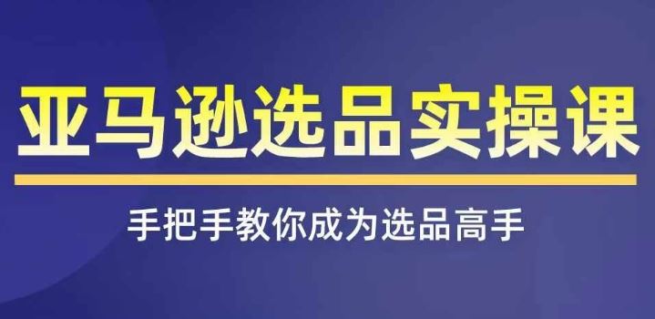 亚马逊选品实操课程,快速掌握亚马逊选品的技巧,覆盖亚马逊选品所有渠道-网创电课网