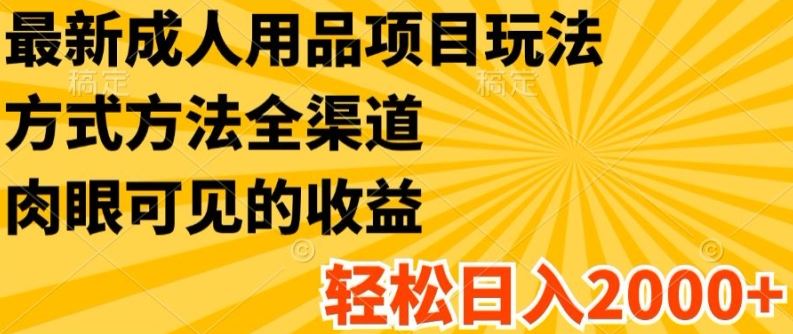 最新成人用品项目玩法,方式方法全渠道,轻松日入2K+【揭秘】-网创电课网