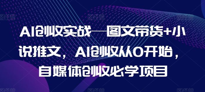 AI创收实战—图文带货+小说推文，AI创收从0开始，自媒体创收必学项目-网创电课网
