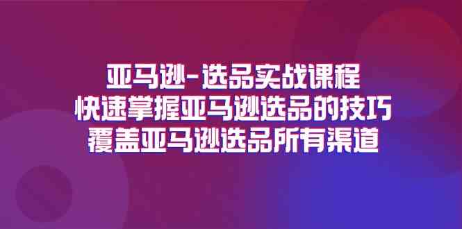 亚马逊选品实战课程，快速掌握亚马逊选品的技巧，覆盖亚马逊选品所有渠道-网创电课网