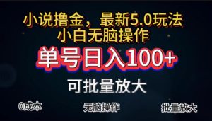 （11651期）全自动小说撸金，单号日入100+小白轻松上手，无脑操作-网创电课网