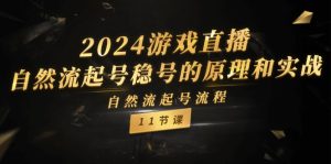 （11653期）2024游戏直播-自然流起号稳号的原理和实战，自然流起号流程（11节）-网创电课网