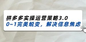 (11658期)2024_2025拼多多实操运营策略3.0,0~1完美蜕变,解决信息焦虑(38节)-网创电课网