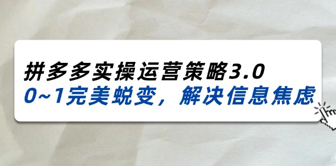 (11658期)2024_2025拼多多实操运营策略3.0,0~1完美蜕变,解决信息焦虑(38节)-网创电课网