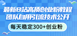 （11661期）最新B站高质创业粉教程，团队自用引流技术公开，每天稳定300+创业粉-网创电课网