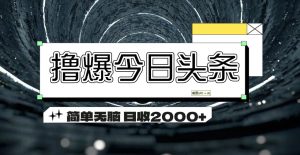 （11665期）撸爆今日头条 简单无脑操作 日收2000+-网创电课网