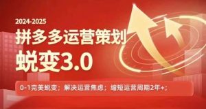 2024-2025拼多多运营策略蜕变3.0，0~1完美蜕变，解决信息焦虑-网创电课网