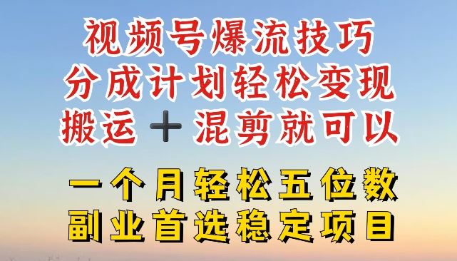 视频号爆流技巧，分成计划轻松变现，搬运 +混剪就可以，一个月轻松五位数稳定项目【揭秘】-网创电课网
