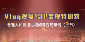 Vlog视频号IP变现特训营，普通人如何通过视频号变现赚钱（15节）-网创电课网