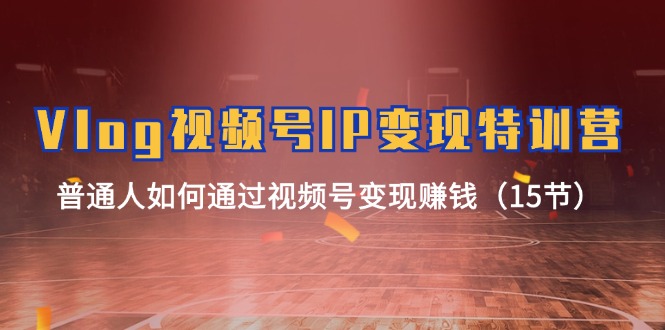 Vlog视频号IP变现特训营,普通人如何通过视频号变现赚钱(15节)-网创电课网