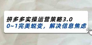 2024-2025拼多多实操运营策略3.0，0~1完美蜕变，解决信息焦虑（38节）-网创电课网