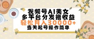 （11684期）视频号AI美女，轻松月入30000+,操作简单轻松上手-网创电课网