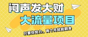 （11688期）闷声发大财，大流量项目，月收益过3万，只要你努力，两个月就能翻身-网创电课网