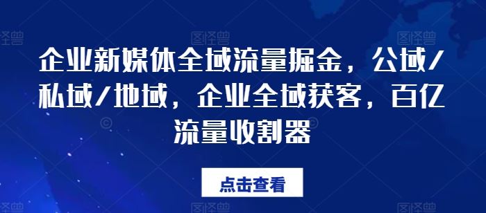 企业新媒体全域流量掘金，公域/私域/地域，企业全域获客，百亿流量收割器-网创电课网
