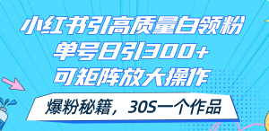 (11692期)小红书引高质量白领粉,单号日引300+,可放大操作,爆粉秘籍!30s一个作品-网创电课网