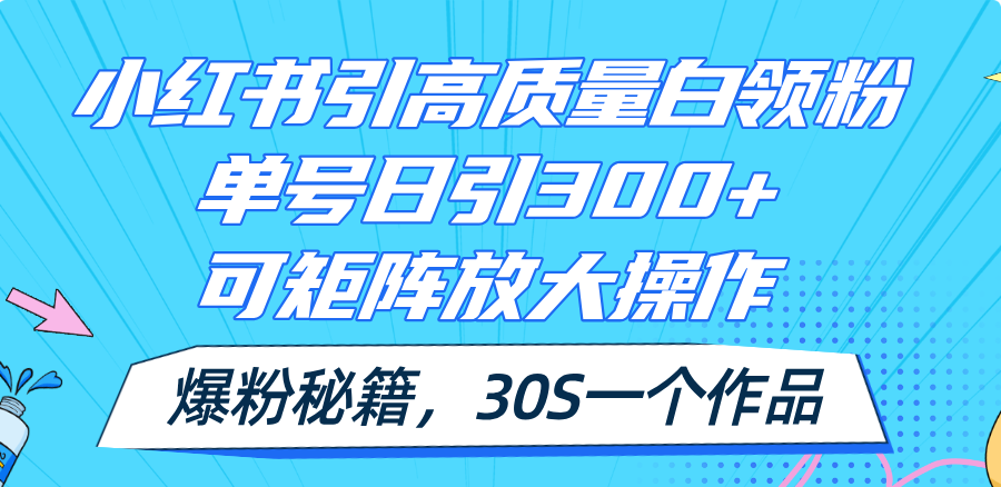 (11692期)小红书引高质量白领粉,单号日引300+,可放大操作,爆粉秘籍!30s一个作品-网创电课网