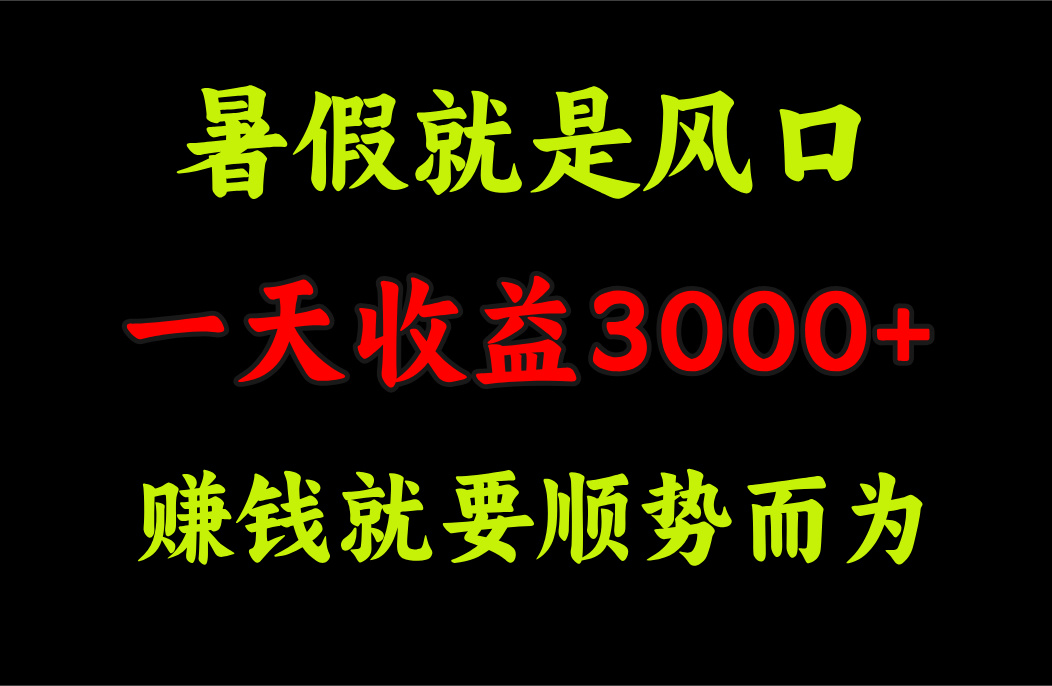 （11670期）一天收益3000+ 赚钱就是顺势而为，暑假就是风口-网创电课网