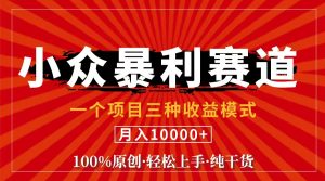 （11695期）视频号【中老年粉深信不疑】小众赛道 100%原创 手把手教学 新号3天收益…-网创电课网