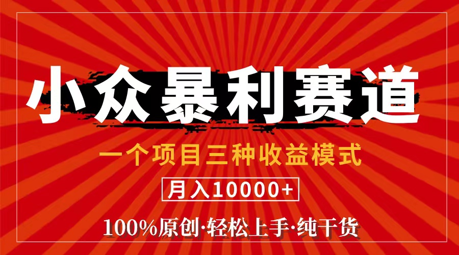 （11695期）视频号【中老年粉深信不疑】小众赛道 100%原创 手把手教学 新号3天收益…-网创电课网