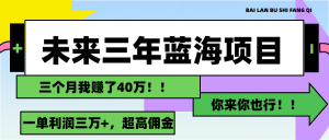 （11716期）未来三年，蓝海赛道，月入3万+-网创电课网