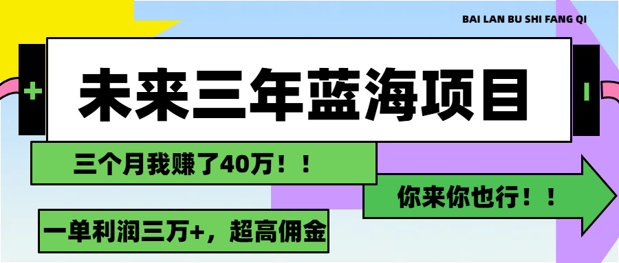（11716期）未来三年，蓝海赛道，月入3万+-网创电课网