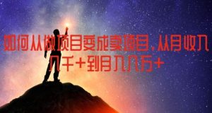 如何从做项目变成卖项目，从月收入几千到月入几万【揭秘】-网创电课网