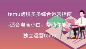 temu跨境多多综合运营指南-适合电商小白，帮助你能够独立运营temu(44节)-网创电课网