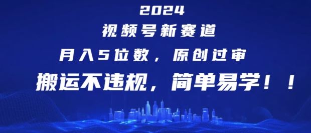 2024视频号新赛道，月入5位数+，原创过审，搬运不违规，简单易学【揭秘】-网创电课网