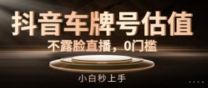 抖音车牌号估值，不露脸直播，0门槛，小白秒上手【揭秘】-网创电课网
