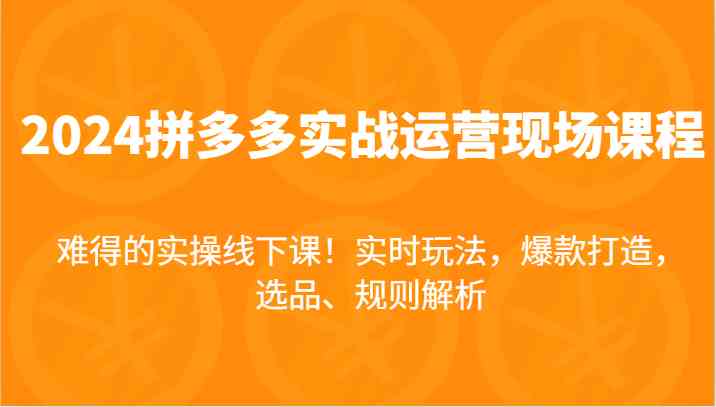 2024拼多多实战运营现场课,实时玩法,爆款打造,选品、规则解析,难得的实操线下课!-网创电课网